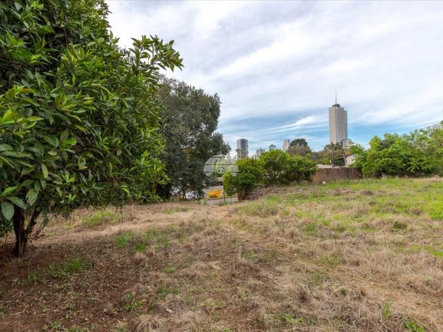 Terreno venda em Passo Fundo