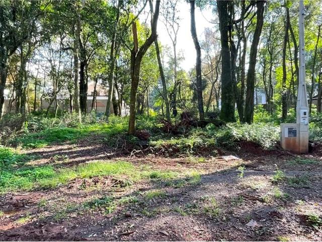 Terreno venda em Passo Fundo