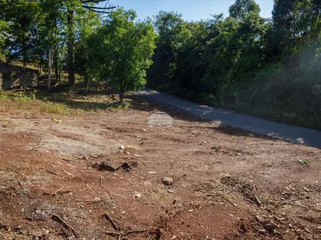 Terreno venda em Região Geográfica Imediata de Passo Fundo, Passo Fundo