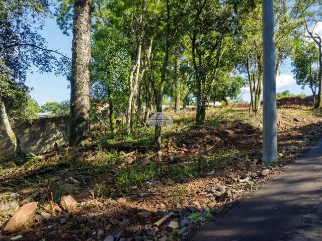 Terreno venda em Região Geográfica Imediata de Passo Fundo, Passo Fundo