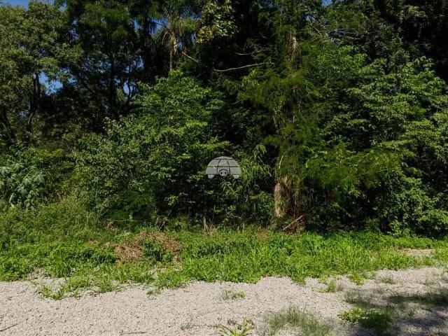 Terreno venda em Região Geográfica Imediata de Passo Fundo, Passo Fundo