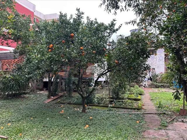 Terreno venda em Passo Fundo