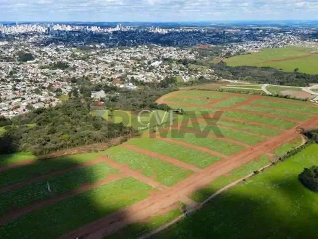 Terreno venda em Passo Fundo