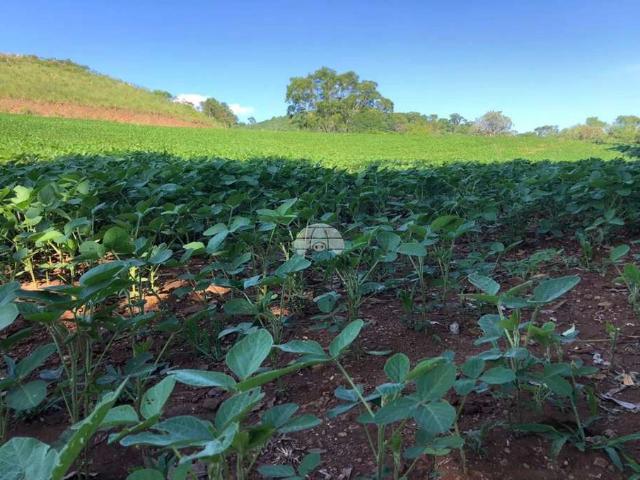Terreno venda em Clevelândia, Região Geográfica Intermediária de Cascavel
