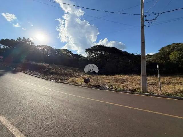 Terreno venda em Região Geográfica Imediata de Pato Branco, Região Sul