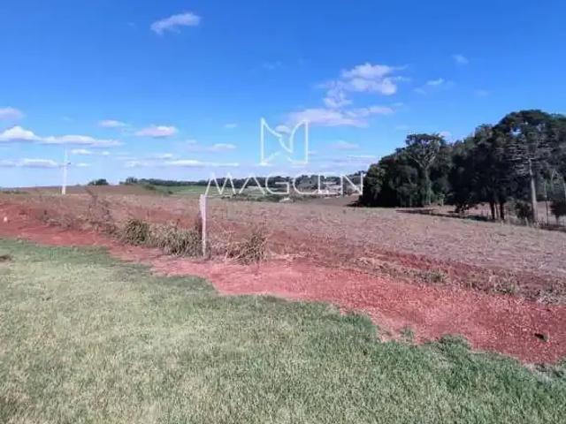 Terreno venda em Região Geográfica Imediata de Pato Branco, Região Sul