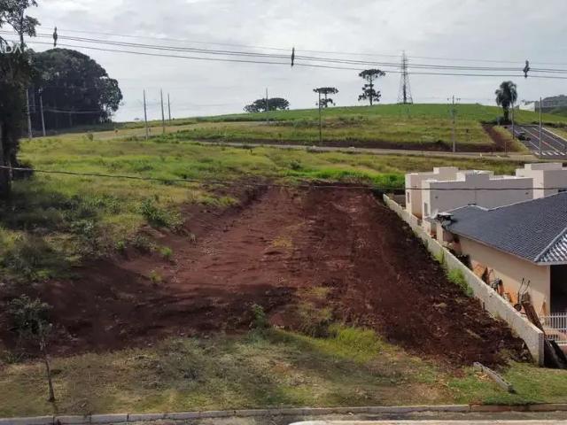Terreno venda em Região Geográfica Imediata de Pato Branco, Região Sul