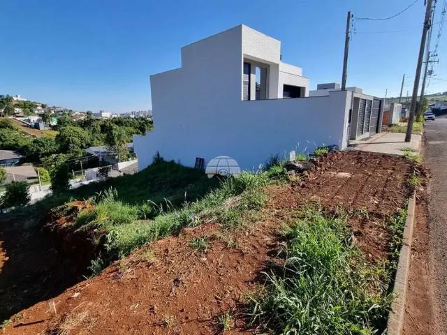 Terreno venda em Região Geográfica Imediata de Pato Branco, Região Sul