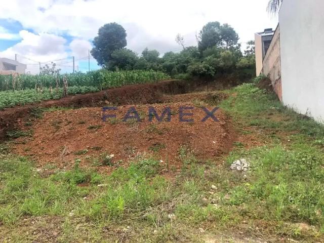 Terreno venda em Região Geográfica Imediata de Pato Branco, Região Sul