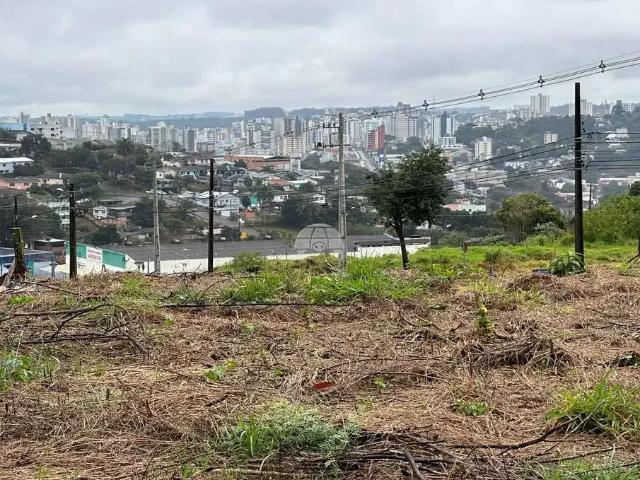Terreno venda em Região Geográfica Imediata de Pato Branco, Região Sul