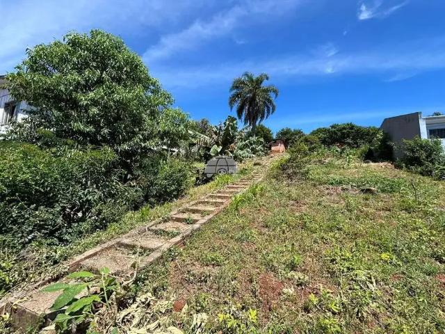 Terreno venda em Região Geográfica Imediata de Pato Branco, Região Sul