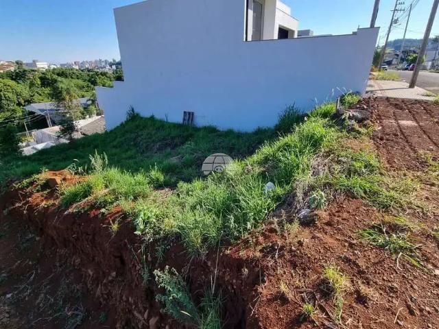 Terreno venda em Região Geográfica Imediata de Pato Branco, Região Sul