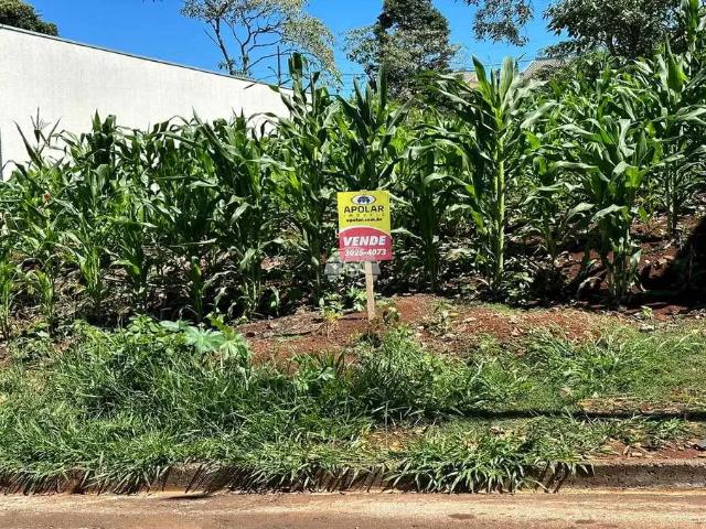 Terreno venda em Região Geográfica Imediata de Pato Branco, Região Sul