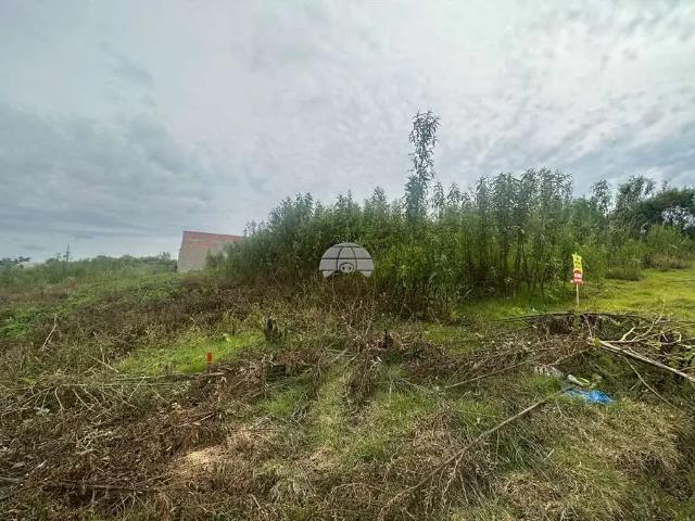 Terreno venda em Região Geográfica Imediata de Pato Branco, Região Sul