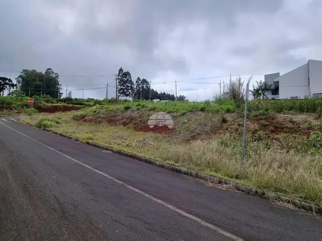 Terreno venda em Região Geográfica Imediata de Pato Branco, Região Sul