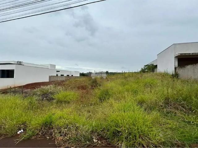 Terreno venda em Região Geográfica Imediata de Pato Branco, Região Sul