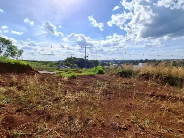 Terreno venda em Região Geográfica Imediata de Pato Branco, Região Sul