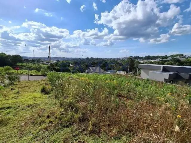 Terreno venda em Região Geográfica Imediata de Pato Branco, Região Sul