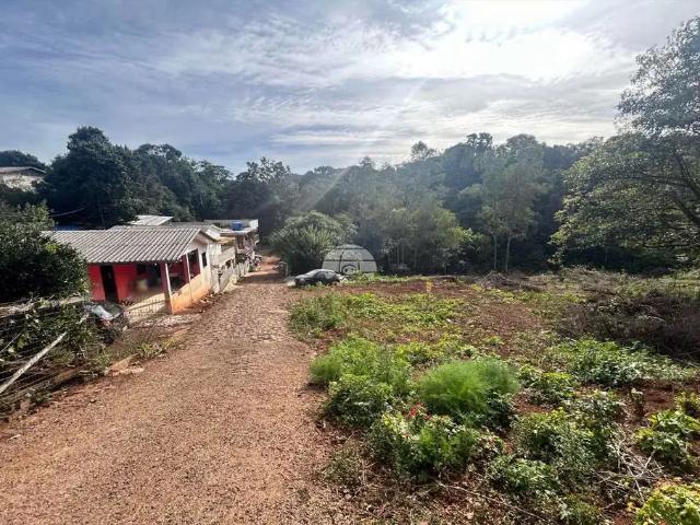 Terreno venda em Região Geográfica Imediata de Pato Branco, Região Sul