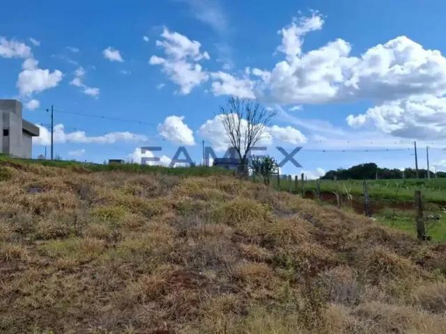 Terreno venda em Região Geográfica Imediata de Pato Branco, Região Sul