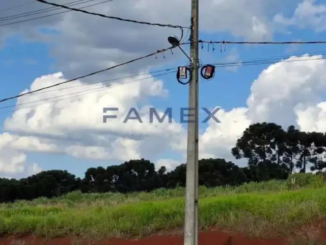 Terreno venda em Região Geográfica Imediata de Pato Branco, Região Sul