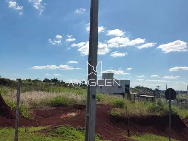Terreno venda em Região Geográfica Imediata de Pato Branco, Região Sul