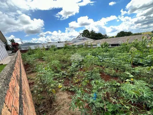 Terreno venda em Região Geográfica Imediata de Pato Branco, Região Sul