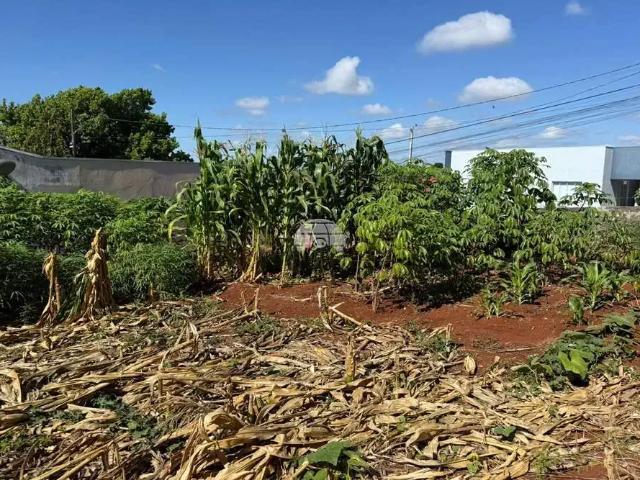 Terreno venda em Região Geográfica Imediata de Pato Branco, Região Sul