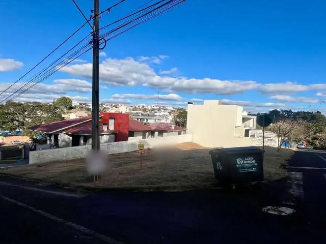 Terreno venda em Região Geográfica Imediata de Pato Branco, Região Sul