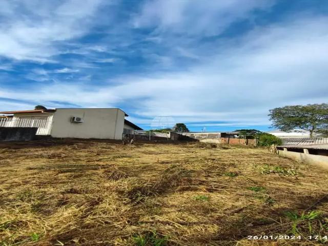Terreno venda em Região Geográfica Imediata de Pato Branco, Região Sul