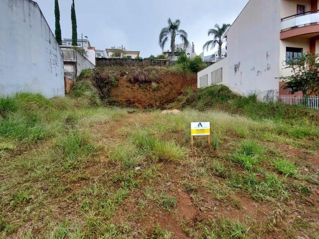 Terreno venda em Região Geográfica Imediata de Pato Branco, Região Sul