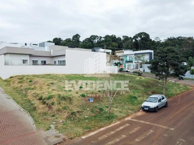 Terreno venda em Região Geográfica Imediata de Pato Branco, Região Sul