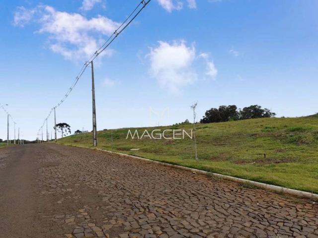 Terreno venda em Região Geográfica Imediata de Pato Branco, Região Sul