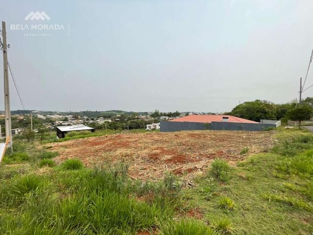 Terreno venda em Região Geográfica Imediata de Pato Branco, Região Sul