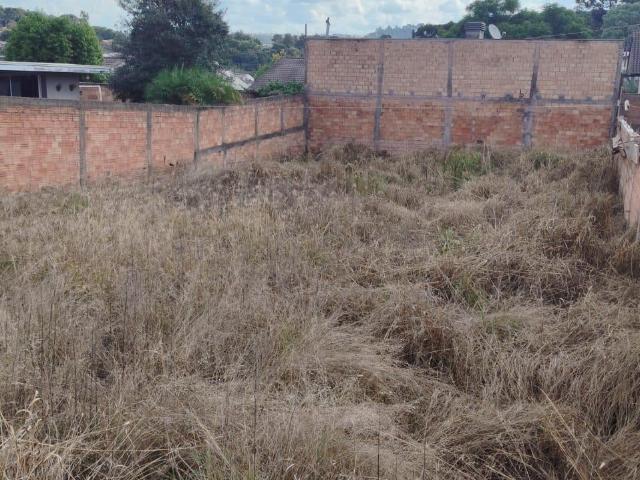 Terreno venda em Região Geográfica Imediata de Pato Branco, Região Sul
