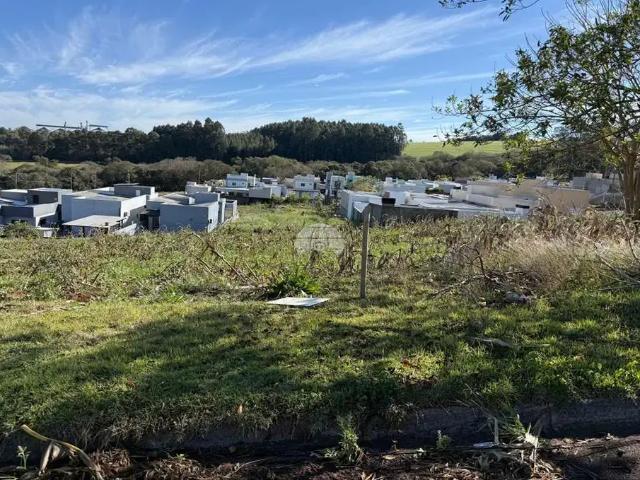 Terreno venda em Região Geográfica Imediata de Pato Branco, Região Sul