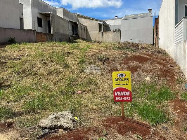 Terreno venda em Região Geográfica Imediata de Pato Branco, Região Sul