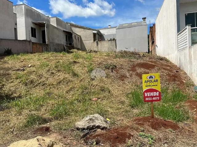 Terreno venda em Região Geográfica Imediata de Pato Branco, Região Sul