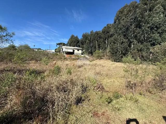 Terreno venda em Região Geográfica Imediata de Pato Branco, Região Sul