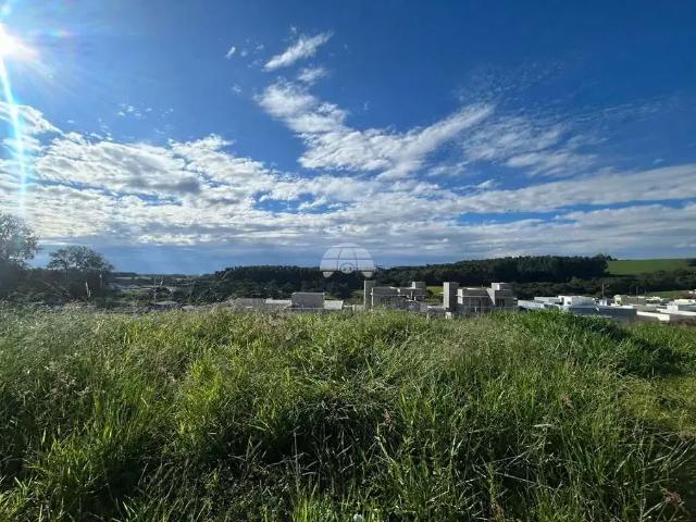 Terreno venda em Região Geográfica Imediata de Pato Branco, Região Sul