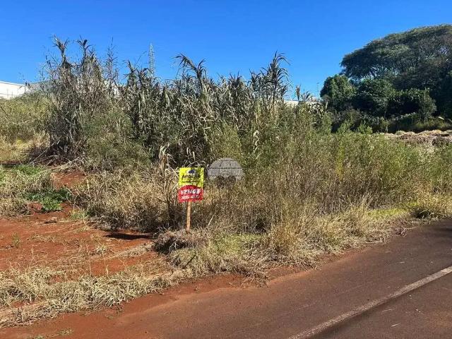 Terreno venda em Região Geográfica Imediata de Pato Branco, Região Sul