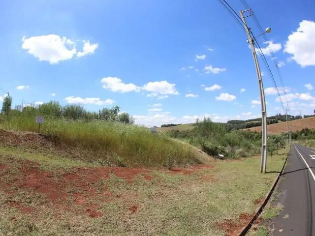 Terreno venda em Região Geográfica Imediata de Pato Branco, Região Sul