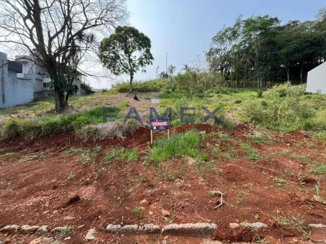 Terreno venda em Região Geográfica Imediata de Pato Branco, Região Sul