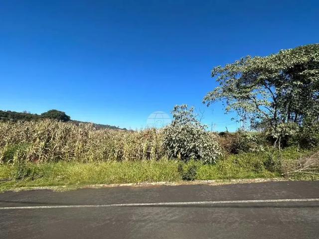 Terreno venda em Região Geográfica Imediata de Pato Branco, Região Sul