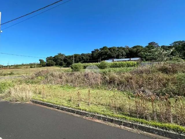 Terreno venda em Região Geográfica Imediata de Pato Branco, Região Sul
