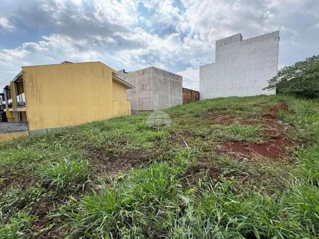 Terreno venda em Região Geográfica Imediata de Pato Branco, Região Sul