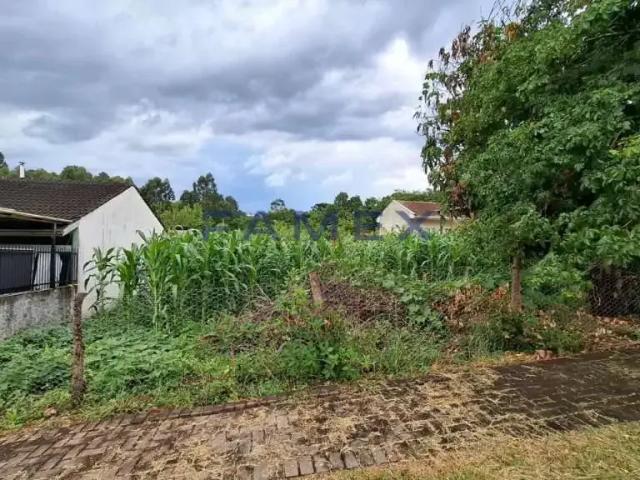 Terreno venda em Região Geográfica Imediata de Pato Branco, Região Sul