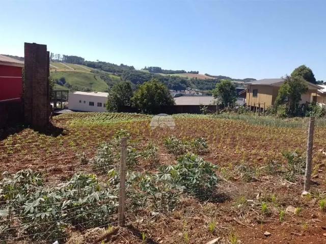 Terreno venda em Região Geográfica Imediata de Pato Branco, Região Sul