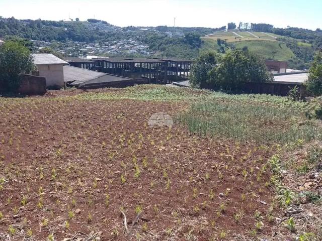 Terreno venda em Região Geográfica Imediata de Pato Branco, Região Sul