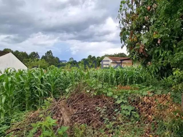 Terreno venda em Região Geográfica Imediata de Pato Branco, Região Sul